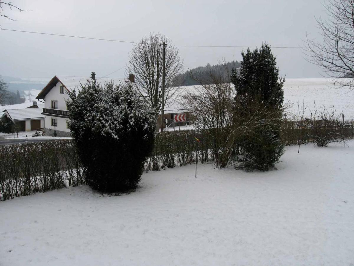 Apartamento Haus Hollerbusch Neunburg vorm Wald Exterior foto