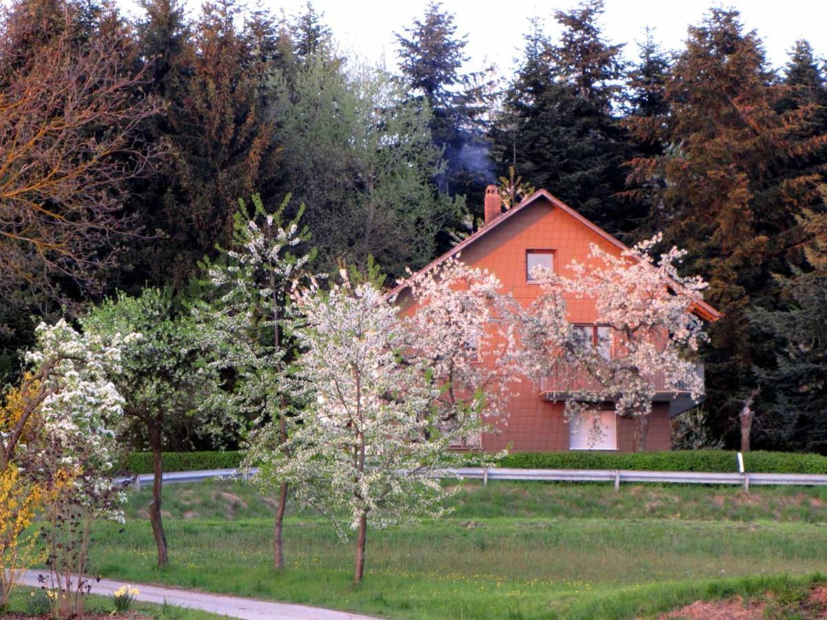 Apartamento Haus Hollerbusch Neunburg vorm Wald Exterior foto